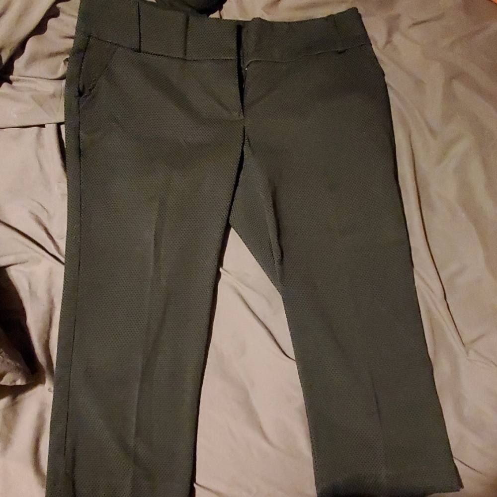 Dress capri pants
